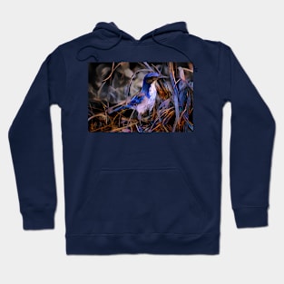 Blue Jay Hoodie